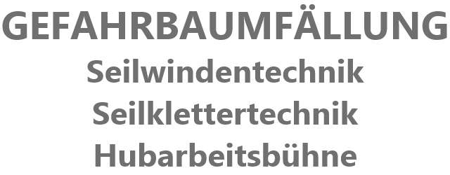 GEFAHRBAUMFLLUNG
Seilwindentechnik
Seilklettertechnik
Hubarbeitsbhne