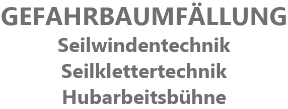 GEFAHRBAUMFLLUNG
Seilwindentechnik
Seilklettertechnik
Hubarbeitsbhne