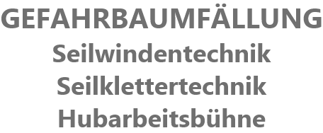 GEFAHRBAUMFLLUNG
Seilwindentechnik
Seilklettertechnik
Hubarbeitsbhne