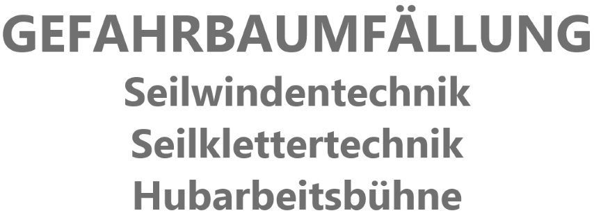 GEFAHRBAUMFLLUNG
Seilwindentechnik
Seilklettertechnik
Hubarbeitsbhne