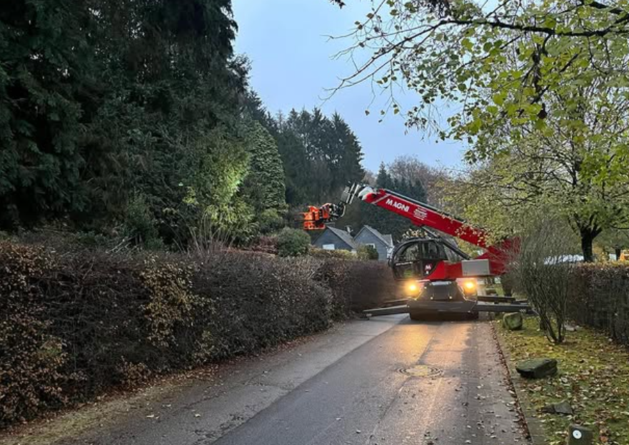 Hubarbeitsbühne bei einem Baumfällungseinsatz am Waldrand