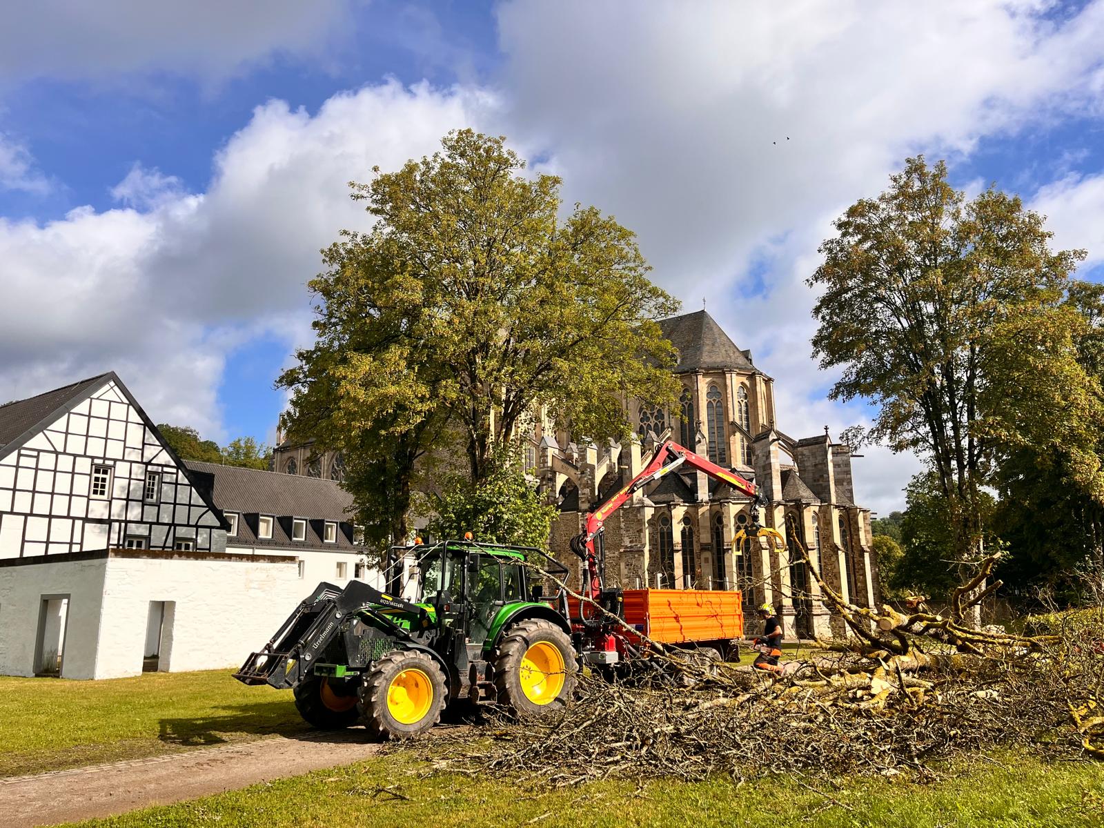 Baumfällarbeiten mit Forsttechnik im Ortsumfeld