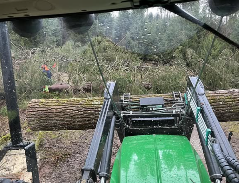 Forstarbeiten mit einer Forstmaschine im Waldbestand