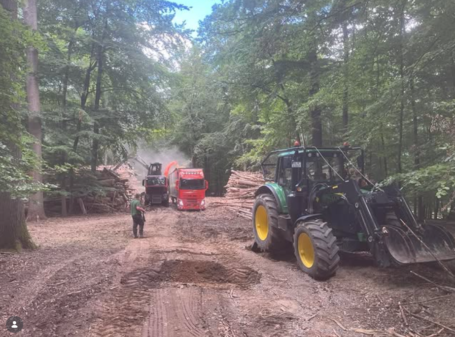 Forstarbeiten und Flächenarbeiten mit Maschinen im Wald