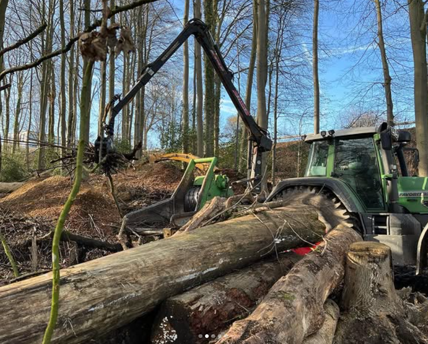 Forstmaschine bei Arbeiten im gewachsenen Waldbestand